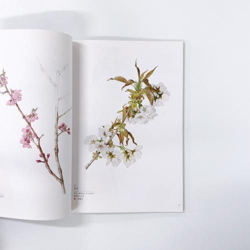 図録 | 日本ボタニカルアートの巨星 | 太田洋愛展 - ノースブックセンター