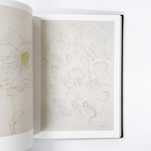 大野俶嵩画集＝花に祈る - ノースブックセンター