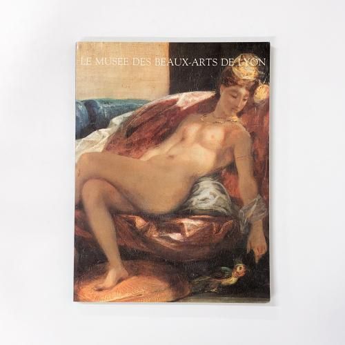 LE MUSEE DES BEAUX-ARTS DE LYONѴ