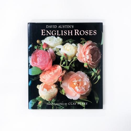 νDavid Austin's English Roses