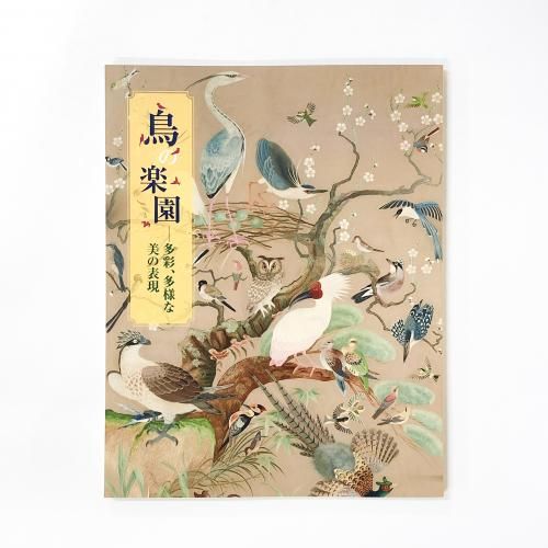 Ͽ Ļγڱ ¿̡¿ͤɽ