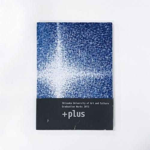 Ųʸݽإǥ´Ÿǥ󸦵ʽλŸ2013