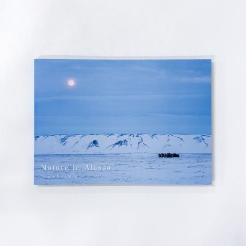 ̿Τᤰ Nature in Alaska