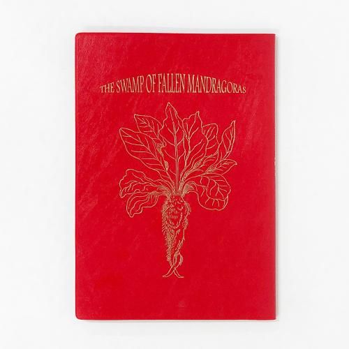 ƥܡߥå PRESENTS ޥɥ饴ιߤ