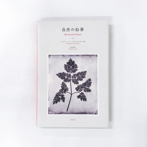 αɮ ꥢࡦإ꡼եåȥܥå