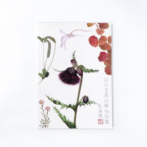 ��Ͽ ë��ٹ⻳��ʪ�޴ո���Ÿ