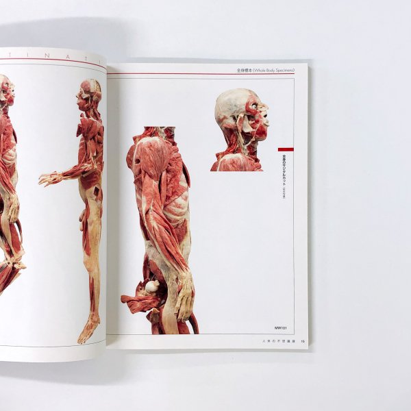 人体の不思議展 公式パンフレット - 本