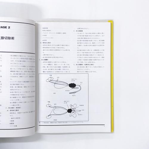 小動物外科マニュアル2 Dr.L.Lippincott著 インターズー