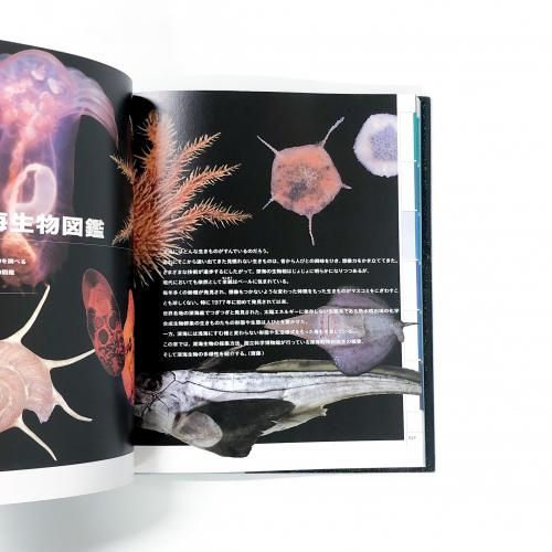 図録 深海 THEDEEP 特別展 -挑戦の歩みと驚異の生きものたち