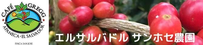 エルサルバドル・サンホセ農園