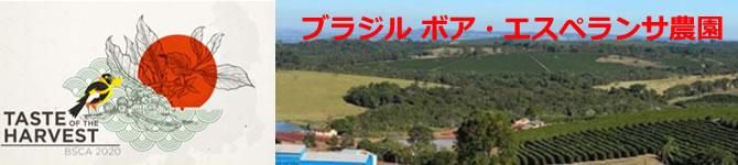ブラジル・ボア エスペランサ農園