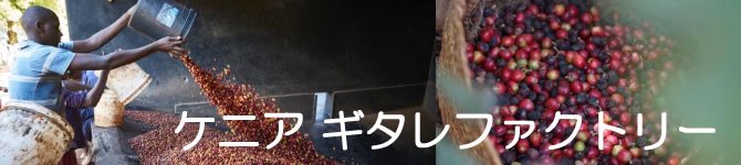  【ケニア・ギタレファクトリー】 生豆220gを受注後焙煎【限定販売】