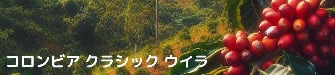 コロンビア・クラシックウイラ