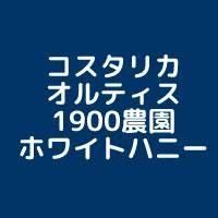 �ڥ������ꥫ������ƥ���1900���� �ۥ磻�ȥϥˡ��� ��Ʀ220g������������ڿ��̸����