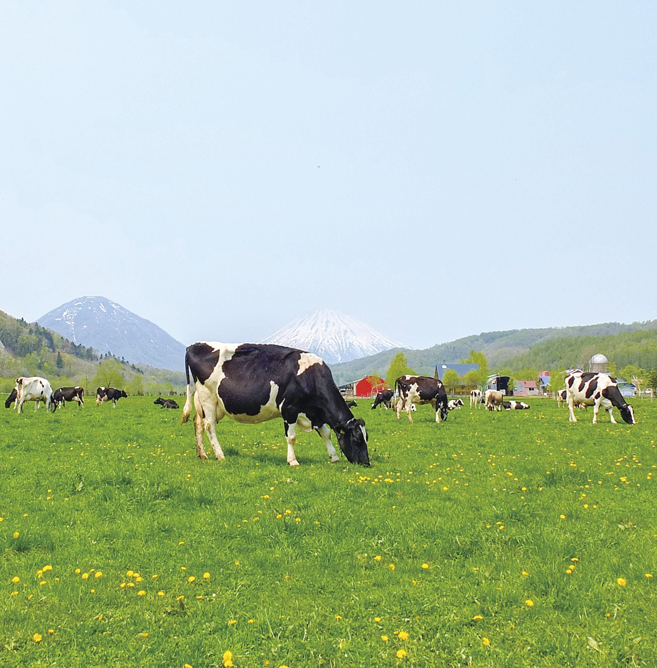 Ҿ쥿餵ΡֹʵΥߥ륯פϤۻҤΤդΤ̩ΤҤȤ