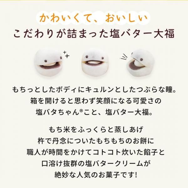 冷凍】 【送料込み/冷凍品同梱OK】塩バター大福6個、餅パイ2個 冷凍】 【送料込み/冷凍品同梱OK】塩バター大福6個、餅パイ2個