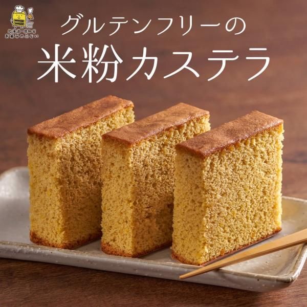 グルテンフリー＆カゼインフリー＆鉄入りセットL | 22個入り