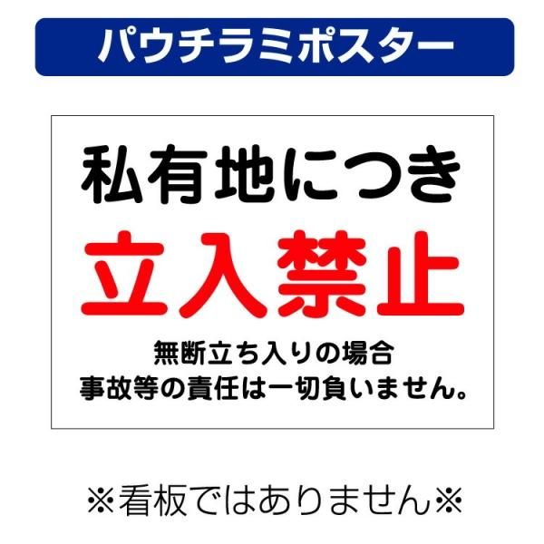 ☆断捨離☆激レア☆Sweet November☆特殊反転両面印刷☆ポスター ☆断捨離☆激レア☆Sweet November☆特殊反転両面印刷☆