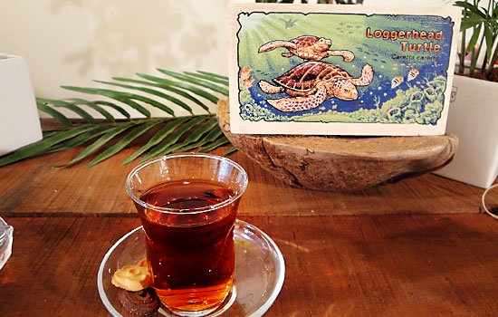 オーガニック紅茶（ウバ）　アカウミガメ