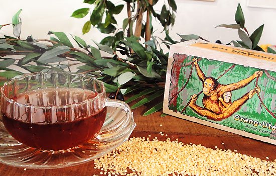 オーガニック紅茶（マンゴー）　オランウータン