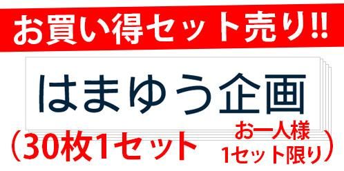 <img class='new_mark_img1' src='https://img.shop-pro.jp/img/new/icons5.gif' style='border:none;display:inline;margin:0px;padding:0px;width:auto;' />set30-101-ϡߺʸ600mm150mmˡ30祻åȡ