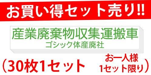 <img class='new_mark_img1' src='https://img.shop-pro.jp/img/new/icons5.gif' style='border:none;display:inline;margin:0px;padding:0px;width:auto;' />set30-S05A-ϡʸ550mm100mmˡ30祻åȡ