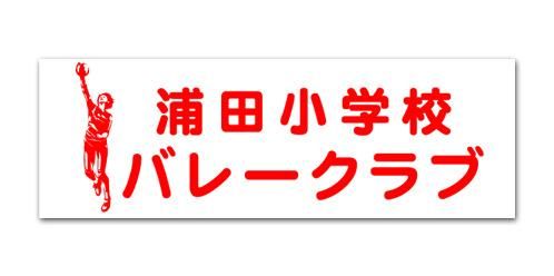 MS05-ڥХ졼ϡ֡600mm200mm