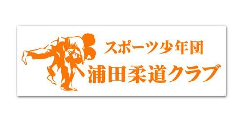 MS09-ڽƻϡߥ󥸡600mm200mm