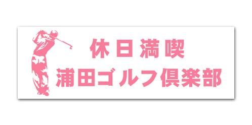 MS10-ڥաϡߥԥ󥯡600mm200mm