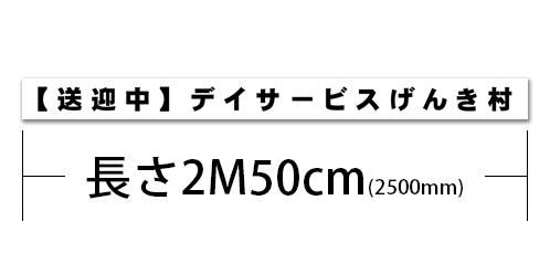 2500T1-ϡ߹ʸ2500mm200mm