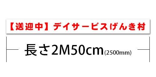 2500T2-ϡʸ2500mm250mm