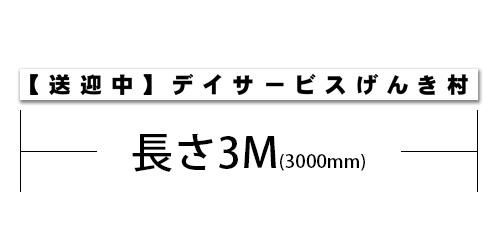 3000T1-ϡ߹ʸ3000mm200mm