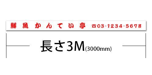 3000T1-ϡʸ3000mm200mm