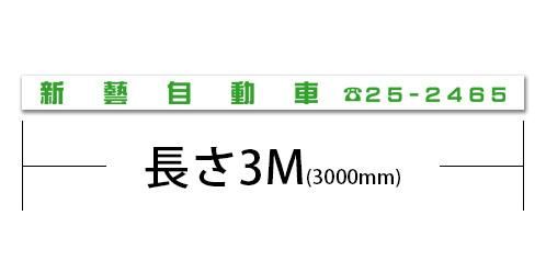 3000T1-ϡʸ3000mm200mm