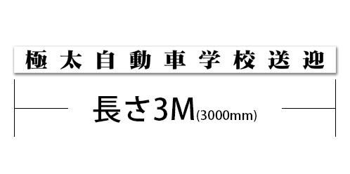 3000T2-ϡ߹ʸ3000mm250mm