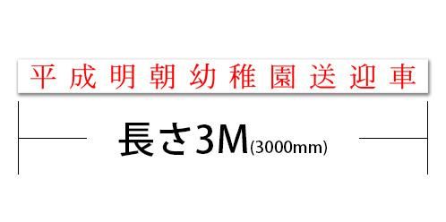 3000T2-ϡʸ3000mm250mm