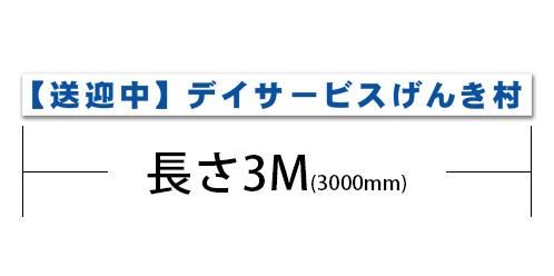 3000T2-ϡʸ3000mm250mm