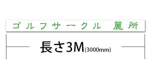3000T2-ϡʸ3000mm250mm