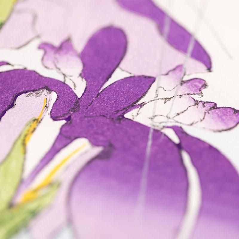 柴田是真筆「あやめ」木版摺美術画 - 榛原（はいばら