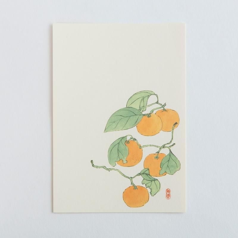 絵はがき みかん 伊藤綾春 榛原 はいばら オンラインショップ 絵はがき みかん 伊藤綾春 榛原 はいばら オンラインショップ