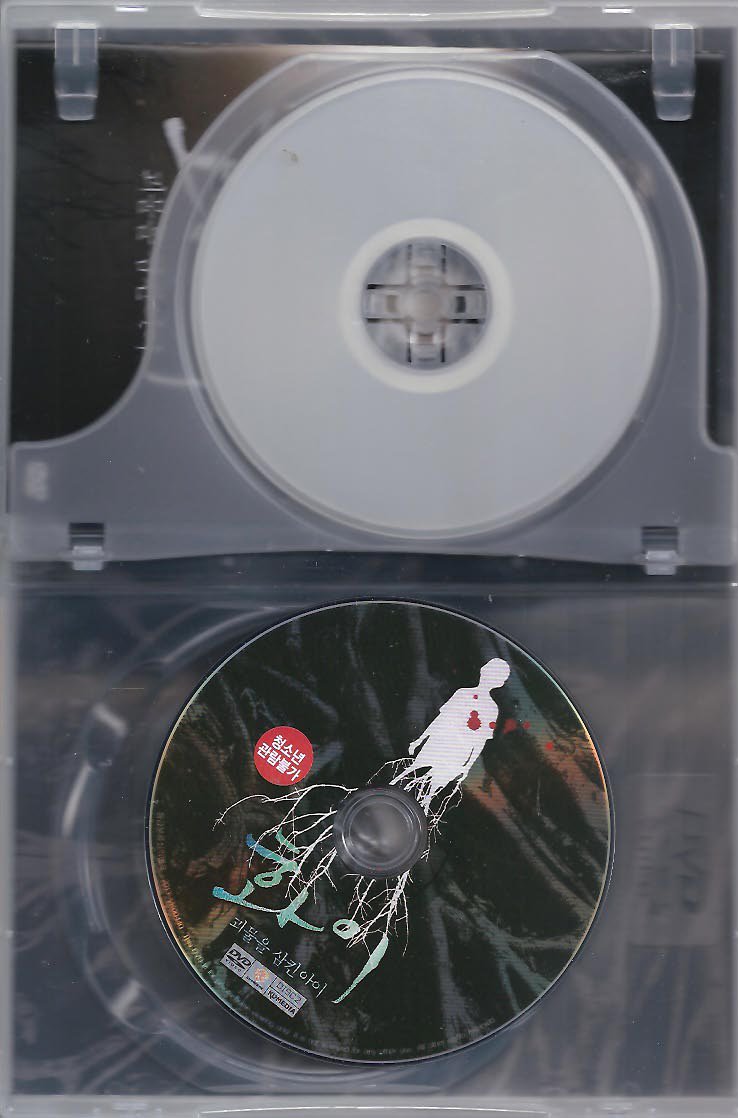 ファイ 怪物を飲み込んだ子 Dvd R3 中古品 韓国版映画のチラシ 2枚もの ハングルカゲです 韓国の映画 ドラマとスターグッズなど扱っています