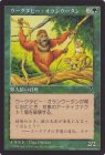 ӡ󥦡/Uktabi OrangutanU