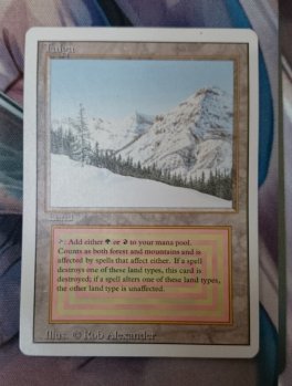 Taiga 【R】 ※EX ※英語版｜マジック：ザ・ギャザリング MTGカード通販