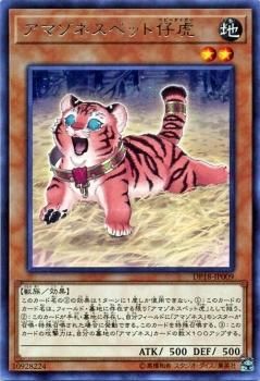 遊戯王 アマゾネスペット仔虎【レア】 【レジェンドデュエリスト