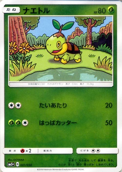 ポケモンカード ナエトル SM5+ | ポケカ通販のカードミュージアム