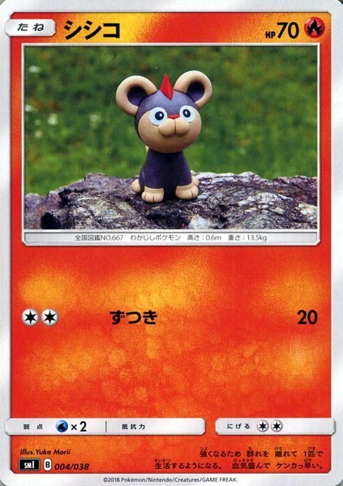 シシコ ポケモンカードゲーム通販のカードミュージアム シシコ ポケモンカードゲーム通販のカードミュージアム