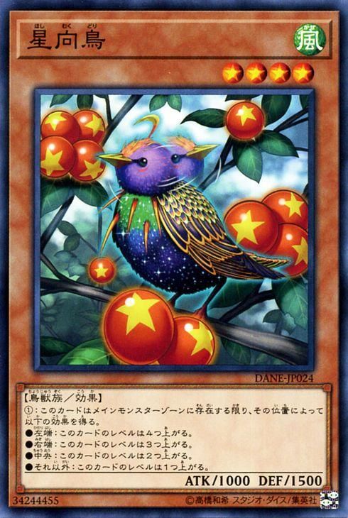 遊戯王 星向鳥 ダーク・ネオストーム DANE-JP024 ｜遊戯王カード