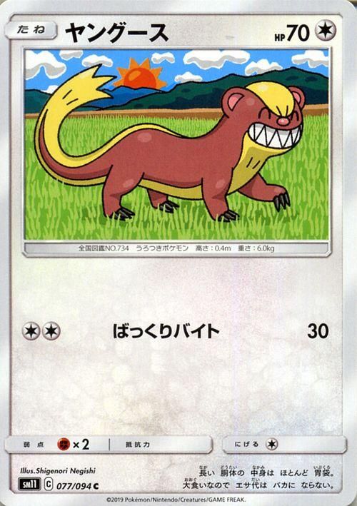 ヤングース ポケモンカードゲーム通販のカードミュージアム ヤングース ポケモンカードゲーム通販のカードミュージアム
