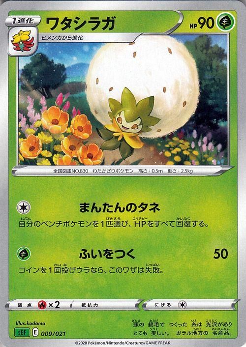 ワタシラガ ポケモンカードゲーム通販のカードミュージアム