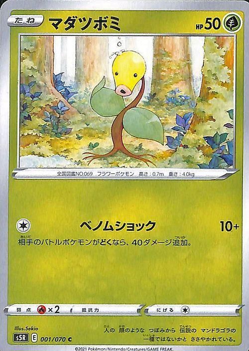 マダツボミ ポケモンカードゲーム通販のカードミュージアム マダツボミ ポケモンカードゲーム通販のカードミュージアム